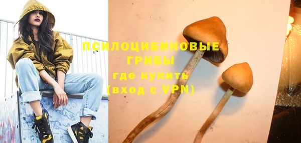 PSILOCYBIN Беломорск